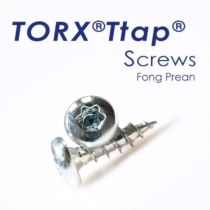 TORX®Ttap® 梅花前凸螺絲