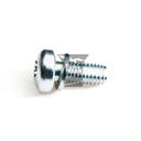 Pan Head Screw, Flat End Point Screw