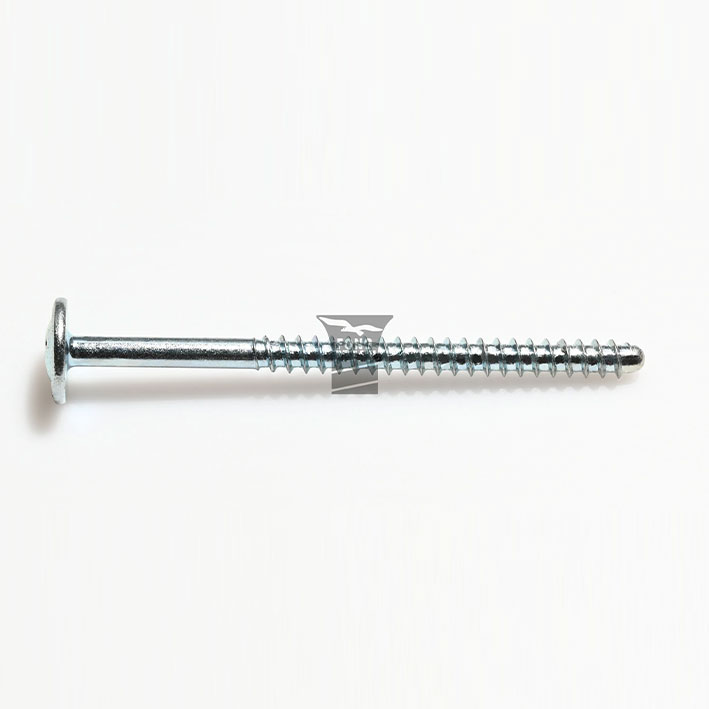 Washer Head Round Tip Screws