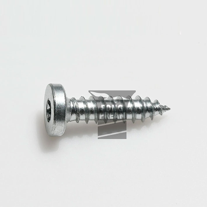 Cylindrical Head Tip Sharp Screw